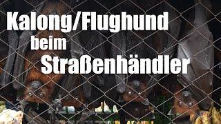 Kalong/Flughund beim Straßenhändler