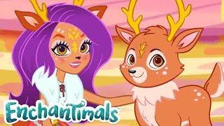 Enchantimals | Meet Danessa Deer and Sprint