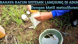 Mixing of Systemic Herbicides and Methyl Metsulfuron