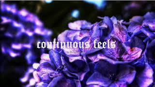 continuous feels by Sahar Habibi