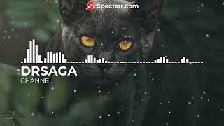 DRSAGA-Views | No Copyright Music