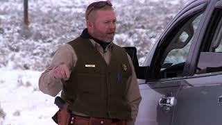 Yellowstone Wardens