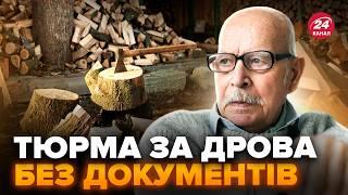 СКАНДАЛЬНИЙ закон! Українців ШТРАФУВАТИМУТЬ за ДРОВА. Готуйтесь до кримінальної справи