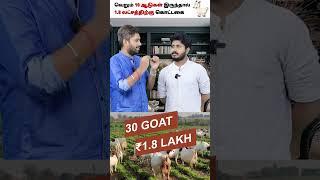 30 ஆடுகள் இருந்தா ! 1.8 லட்சம் தருவங்களா ? Goat Shed Scheme in Tamil #tamil #farming #goatfarming