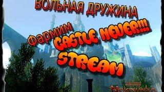 Фармим Замок Невер, игра Neverwinter