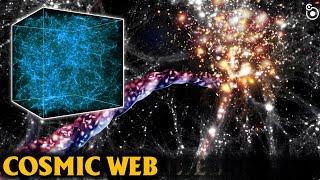 Secret of the Cosmic web | How the Universe Works |