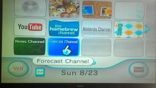 The Discontinued Wii Channels