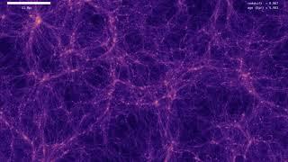 [4K] Formation of the cosmic web