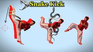 How to do Snake kick| Step by Step Taekwondo tutorial