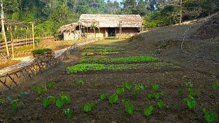 FULL VIDEO/150 Days: Farm Renovation & Building Process (Free) |Growing - Harvesting