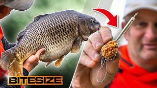 Catching MASSIVE Carp On Tiny Feeders! | Guru Bitesize #053