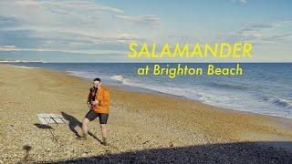 SALAMANDER at Brighton Beach