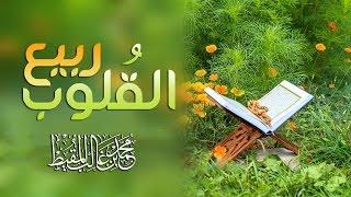 ربيع القلوب | محمد المقيط 2013