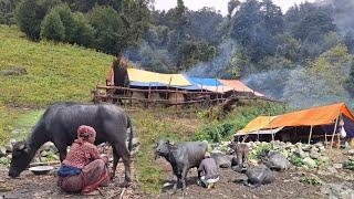 rural life in the nepali mountain  village | daily  activities of nepali mountain  village life