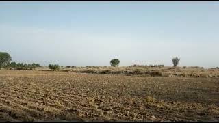 Sofiday k Darahkat Or Simple khate in Pakistan punjab Butifull Village Life