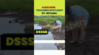 Dsssb 2024 | Subscribe to Teachers Spotlight NOW #shorts