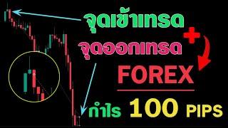 FOREX | สอนเทคนิคเข้าเทรด + อธิบาย จุดเข้าเทรด ที่วิ่งยาวเป็น 1,000 จุด