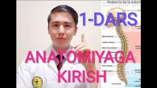 1-DARS ANATOMIYAGA KIRISH BIRINCHI BO'YIN UMURTQASI ATLAS ATLANT UZBEKTILIDA ПЕРВЫЙ ШЕЙНЫЙ ПОЗВОНОК