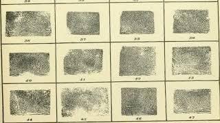 multiple intelligence test based on howard gardner's mi model 91 8692 999510