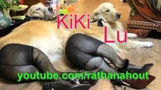 KiKi Lu New Funky -  2014 remix - DJ Dom Long Mi - new song