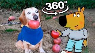 360º VR Dog with Apple in Mouth | Apple Dog AI Memes