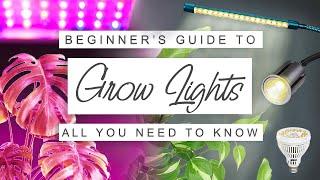 Easy Beginner's Guide To Grow Lights For Houseplants  GROW LIGHT 101  Why, When + How To Use Them