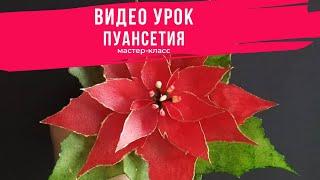 Вафельная Флористика. Пуансетия. Видео Урок