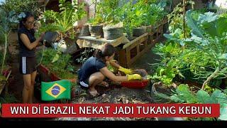 WNI di Brazil yang nekat  berkebun di halaman rumah demi mendapat sayur gratis dan segar