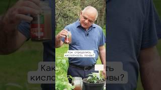 Как определить кислотность почвы? Отвечает профессор Мамедов Борис Исаевич‍#сад #дача #огород
