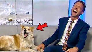 Best News Bloopers August 2024