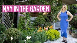 Essential May Gardening Tips: Tulips, Pansies, and Summer Pots | Garden with Marta