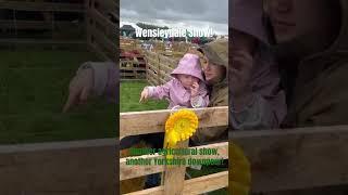 Another weekend, another downpour! #farming #sheepfarming #yorkshire #sheep #farm #sheepshow