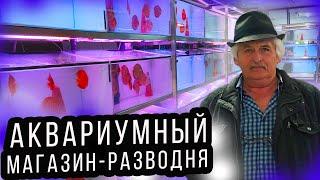 Аквариумный Зоомагазин - РыбоРазводня в Германии! Продают и разводят в одном помещении! 4К