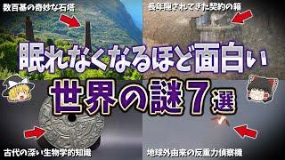 【総集編】眠れなくなるほど面白い世界の謎７選【ゆっくり解説】