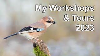 My Wildlife Photography Workshops & Tours 2023