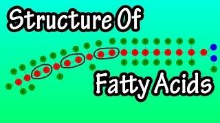 Fatty Acids - What Are Fatty Acids - Structure Of Fatty Acids - Types Of Fatty Acids