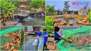 Biggest Koi pond ever (12,00,000 liter pond in Coimbatore)