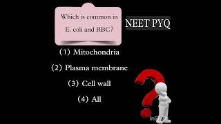 NEET PYQ (CELL -THE UNIT OF LIFE) | #neet2025 #pyq #shorts