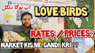 Lovebirds Rates Prices | Market kis ne khrab kri ? future kia lgta h ?