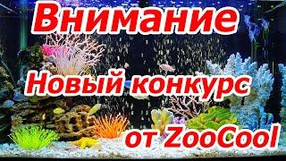 Внимание, новый конкурс для аквариумистов от ZOOCOOL