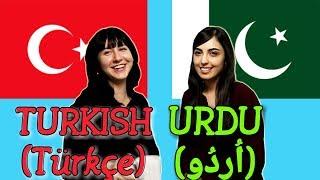 Similarities Between Turkish and Urdu