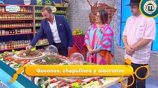 Programa 4:  Gusanos, chapulines y alacranes    | MasterChef Junior 2017