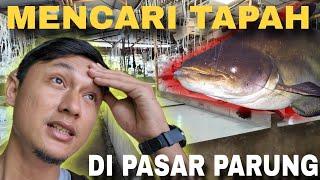 CARI IKAN RAKSASA LOKAL‼️DI PASAR IKAN HIAS PARUNG‼️