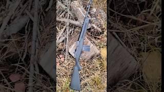 Ruger Mini 14 5.56MM