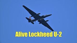 RIAT Air Tattoo 2024 & Farnborough Airshow⑦：alive Lockheed U-2 fly