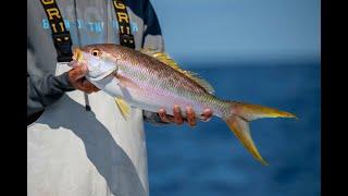 Key Largo Patch Reef Fishing with Richard Black - Saltwater Experience