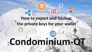 How to Export and backup Condominium wallet private keys