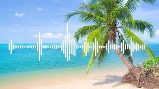 Royalty free music - Beach Vlog
