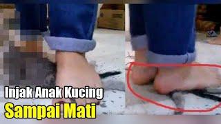 BIADAB!! Tiga Perempuan Ini Injak-Injak Anak Kucing Hingga Mati