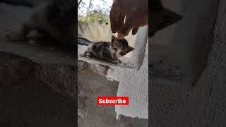 #rkyadav!! vlogs!!pilli !!cute!! subscribe &like !!frnds !!